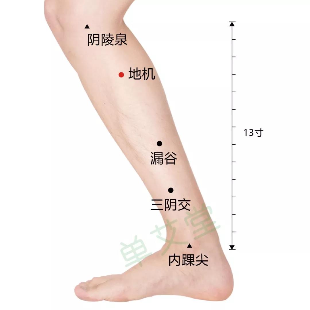 微信图片_20190904103147.jpg