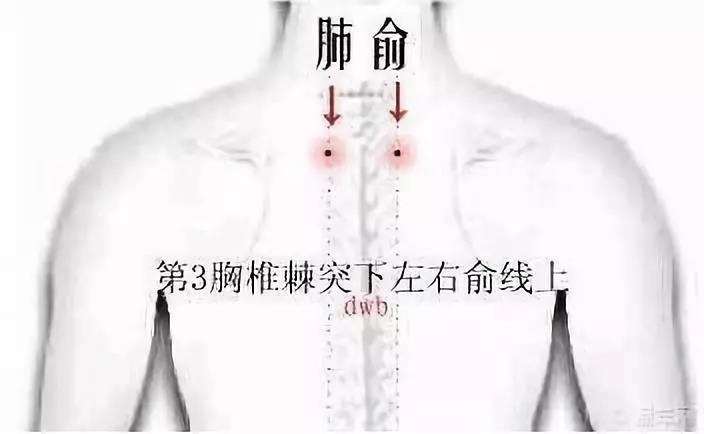 微信图片_20191108151744.jpg 微信图片_20191108151744.jpg