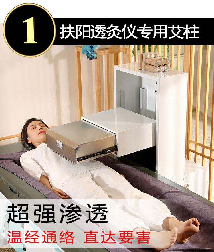 艾柱综合拉页6.jpg